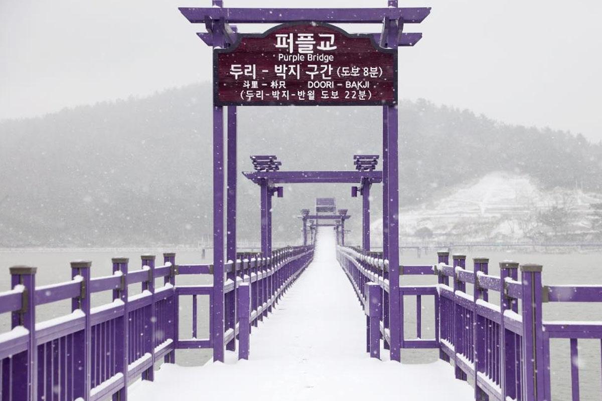 ทิวทัศน์อันเงียบสงบของเกาะสีม่วงในฤดูหนาวที่ถูกปกคลุมไปด้วยหิมะขาวบริสุทธิ์ ซึ่งขับเน้นความงดงามที่ซ่อนความจริงอันโหดร้ายในอดีตของการค้าทาสมนุษย์