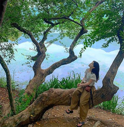 Seseorang duduk di atas cabang besar yang menjorok ke arah Kolam Wiyang di Miryang, dikelilingi oleh dedaunan hijau dan permukaan air yang tenang.