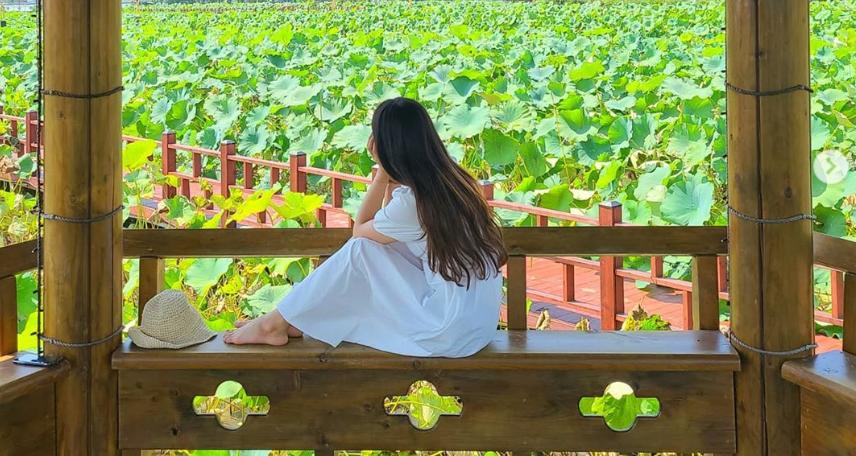 Ambil Gambaran Hidup Anda! Tempat Terbaik Di Korea Untuk Foto Insaeng