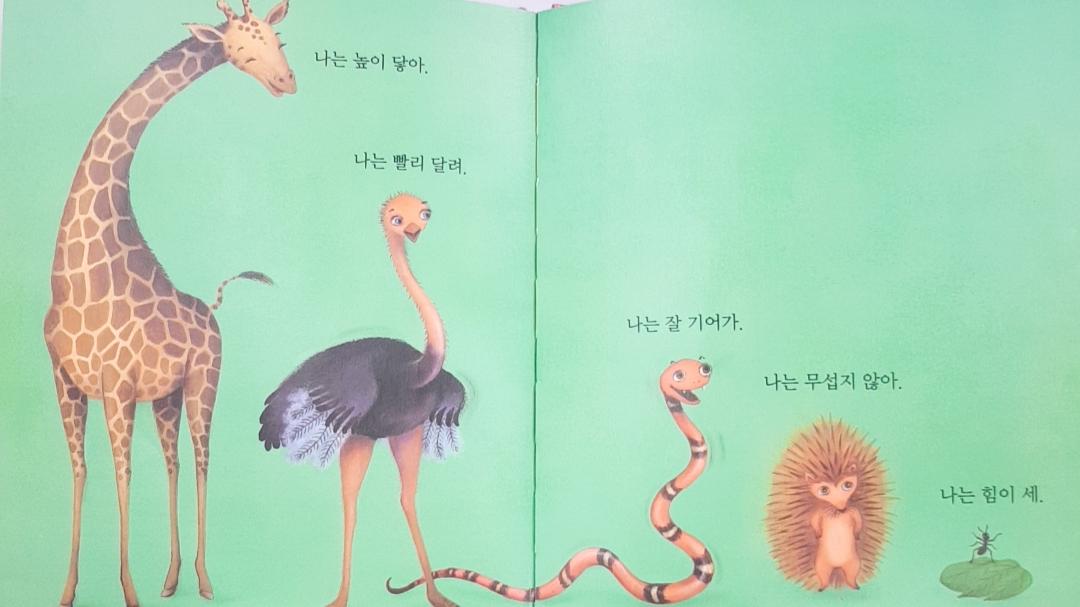 韓国の絵本、그림책、ソリちゃんのチュソク、솔리의추석、추석、韓国の昔話、韓国の本、韓国の童話、ソンピョン、송편