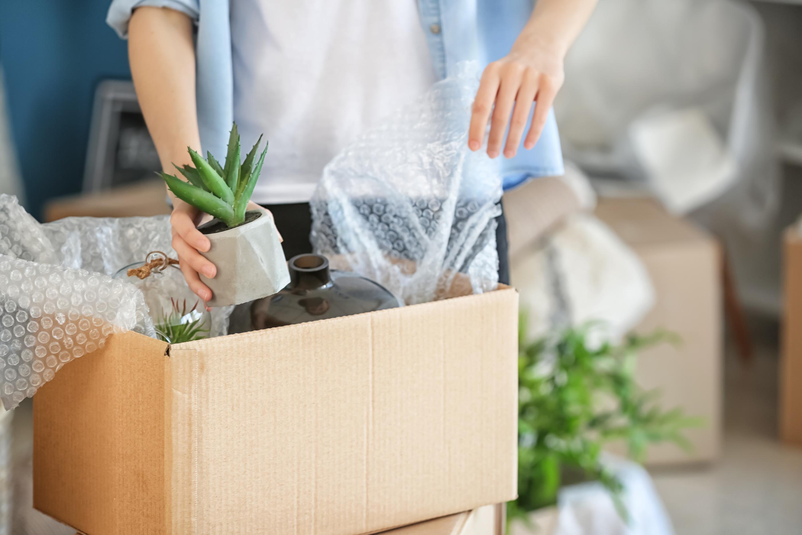 半包裝搬屋、綠色植物、搬箱