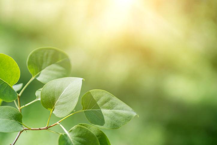 Giải mã 10 giấc mơ theo quan niệm của người Hàn 