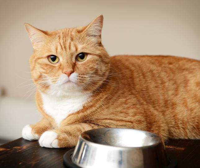 Giải mã 10 giấc mơ theo quan niệm của người Hàn 