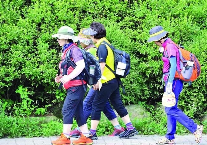 A group of Ajummas walking on the sidewalk, getting ready to go hiking