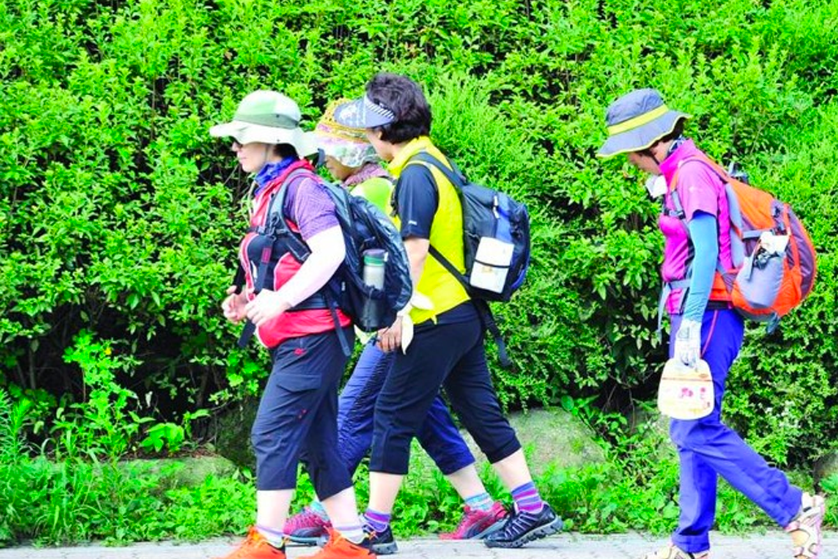 韓國阿珠媽們正結伴而行，穿著鮮豔的登山裝和帽子，享受步行的時光。