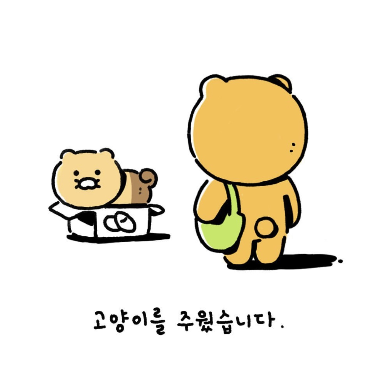 Ryan's New Cat, Choonsik! | Kakao's New Member 'Choonsik', Who Only Eats Sweet Potatoes?