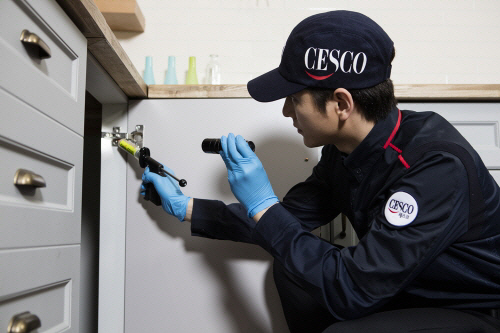 Tổng hợp cách diệt gián, muỗi ở Hàn Quốc đơn giản mà hiệu quả