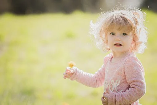 Interesting Korean Aphorisms, Let