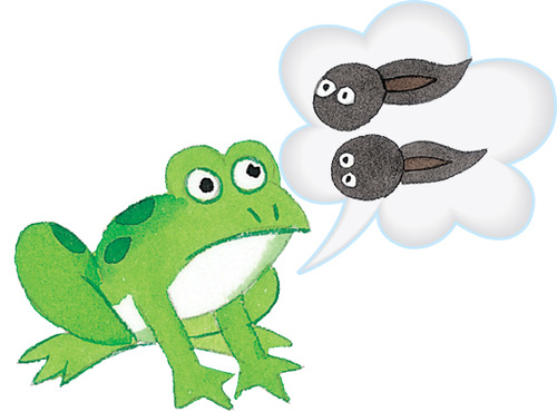 Interesting Korean Aphorisms, Let