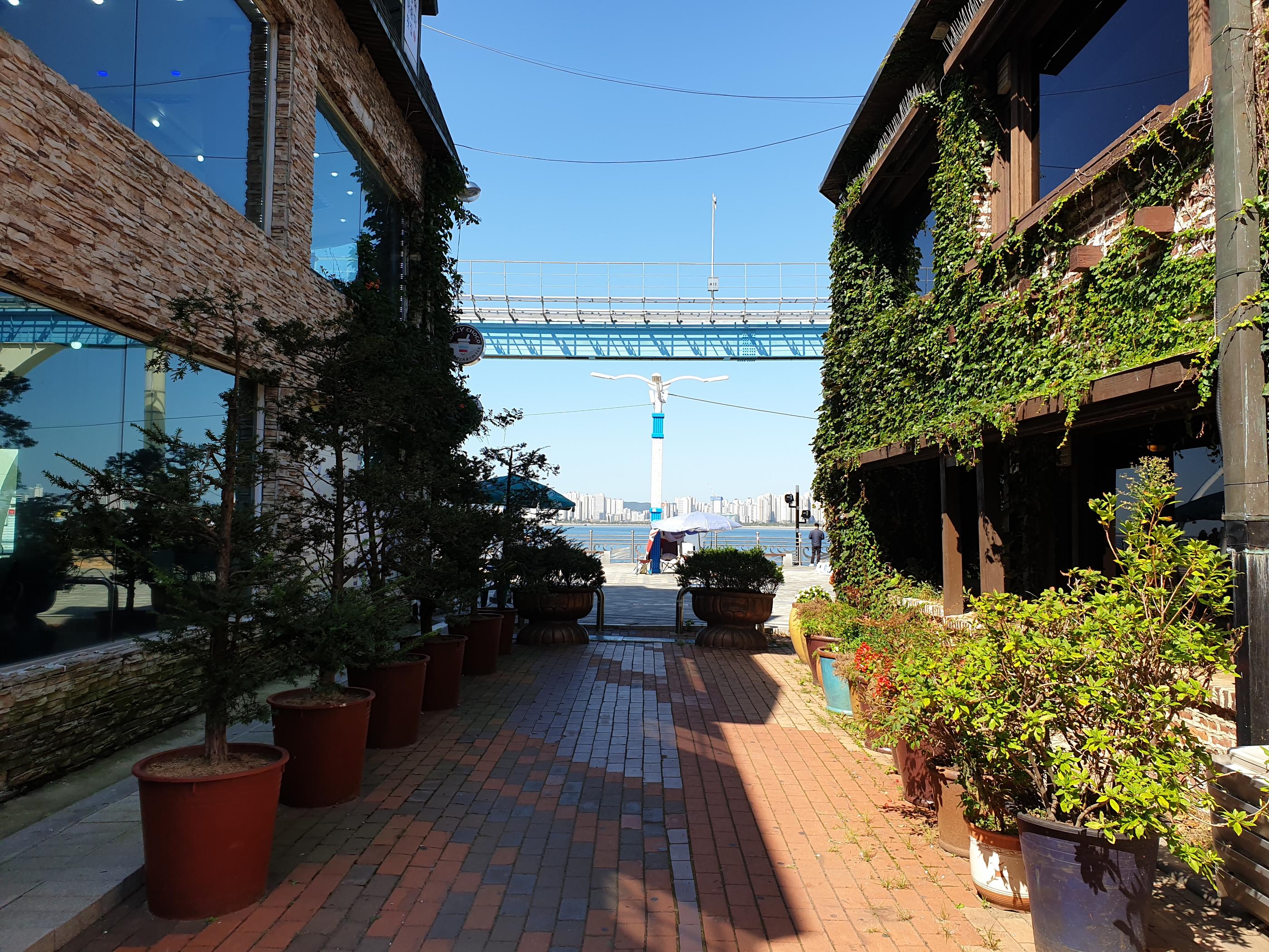 韓国、韓国レストラン、洋食、韓国洋食、サイコだけど大丈夫、キムスヒョン、ソイェジ、月尾島、ウォルミテーマパーク、ウォルミド、韓国カフェ、カフェ、撮影地、ロケ地、韓国遊園地、チャイナタウン、壁画村、韓国ドラマ、イェジョン、藝殿、海の見えるカフェ、仁川大橋