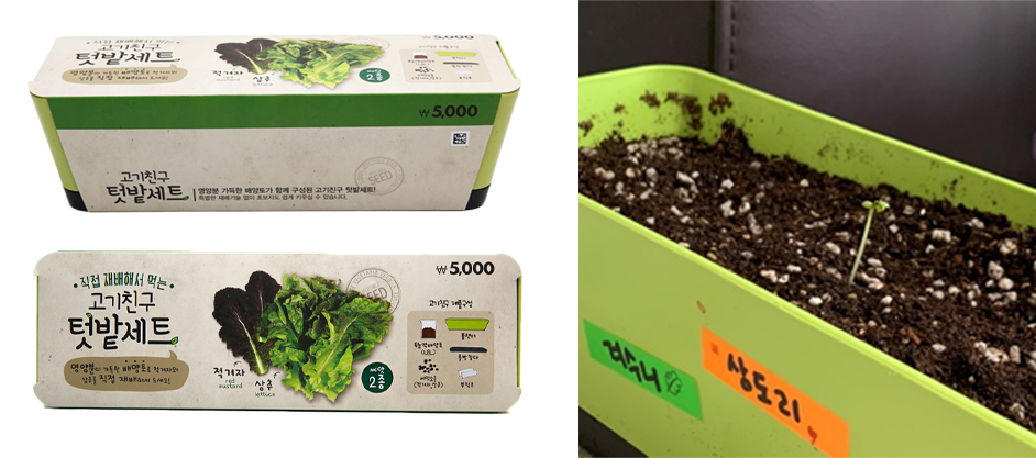 韩国家用园艺套装，包含花盆、种子和土壤，适合居家种植新鲜蔬菜的轻松选择。