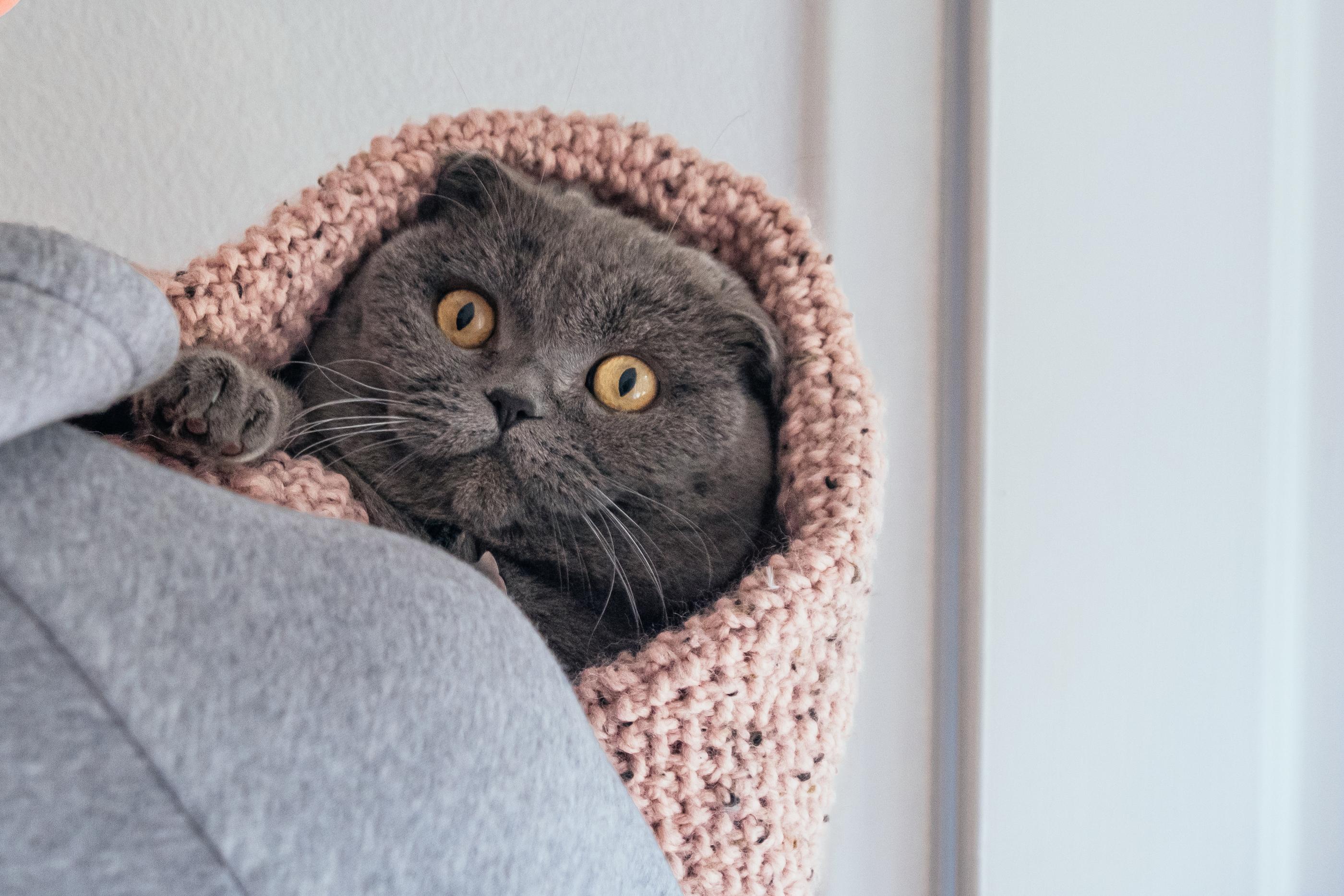 韓国、韓国の騒音問題、韓国のマナー、韓国のモラル、層間騒音、韓国のアパート、韓国のマンション