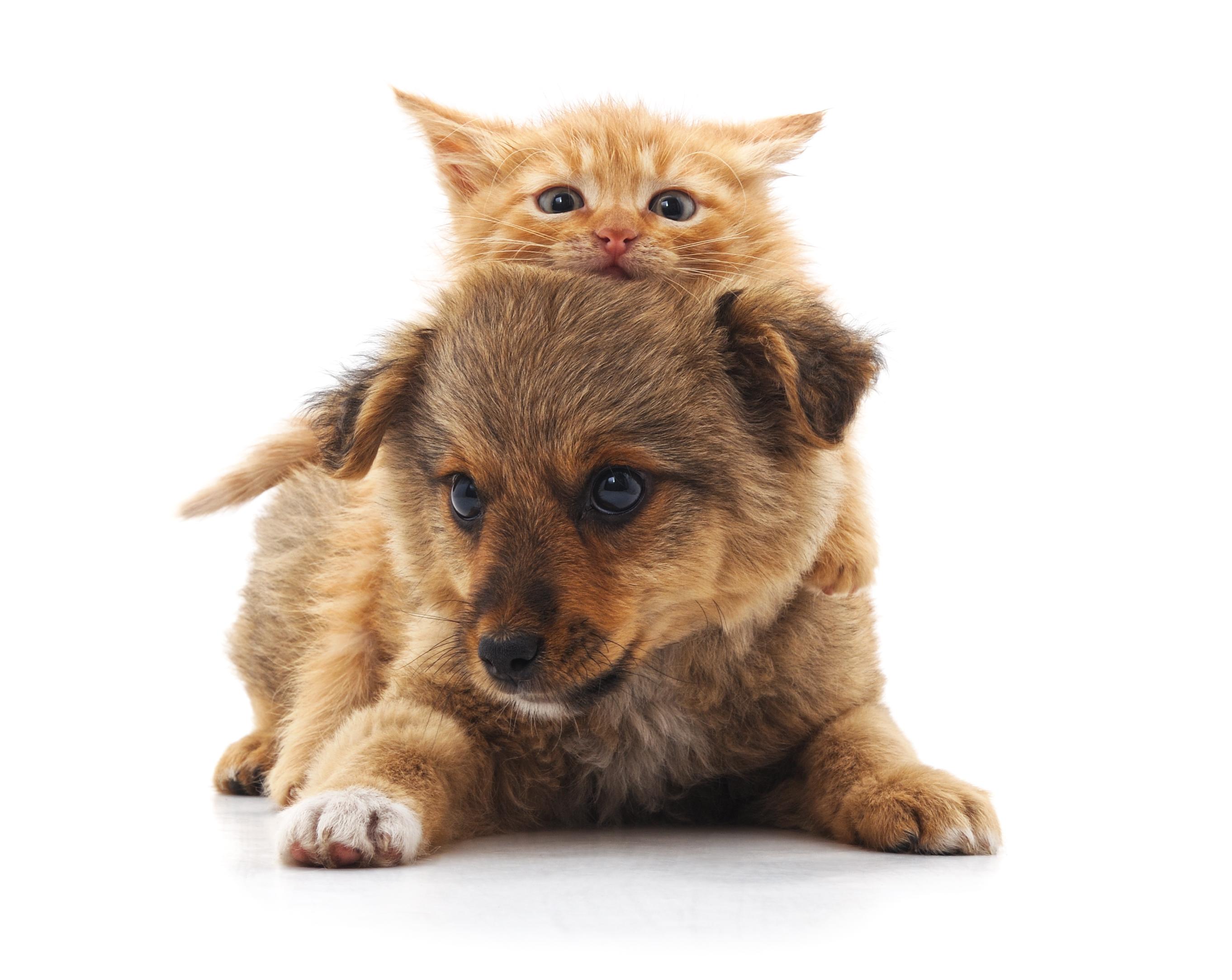 韓国、韓国の騒音問題、韓国のマナー、韓国のモラル、層間騒音、韓国のアパート、韓国のマンション