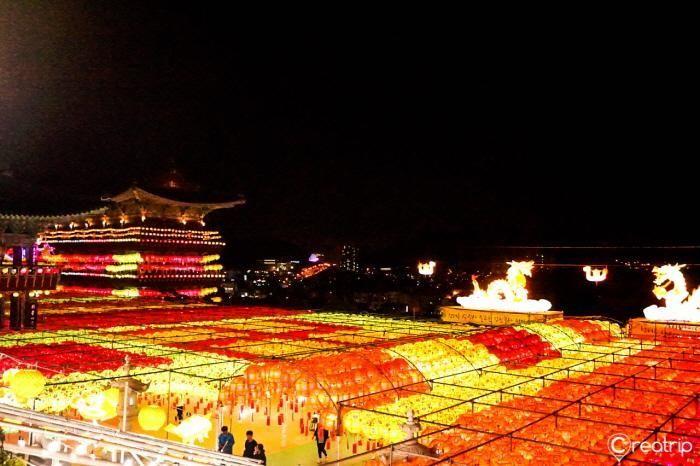An engaging performance featuring traditional drumming, surrounded by the colorful lantern displays.