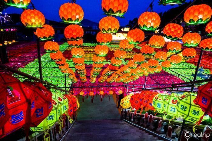 A breathtaking view of colorful lanterns glowing like flowers in a garden surrounding the temple.