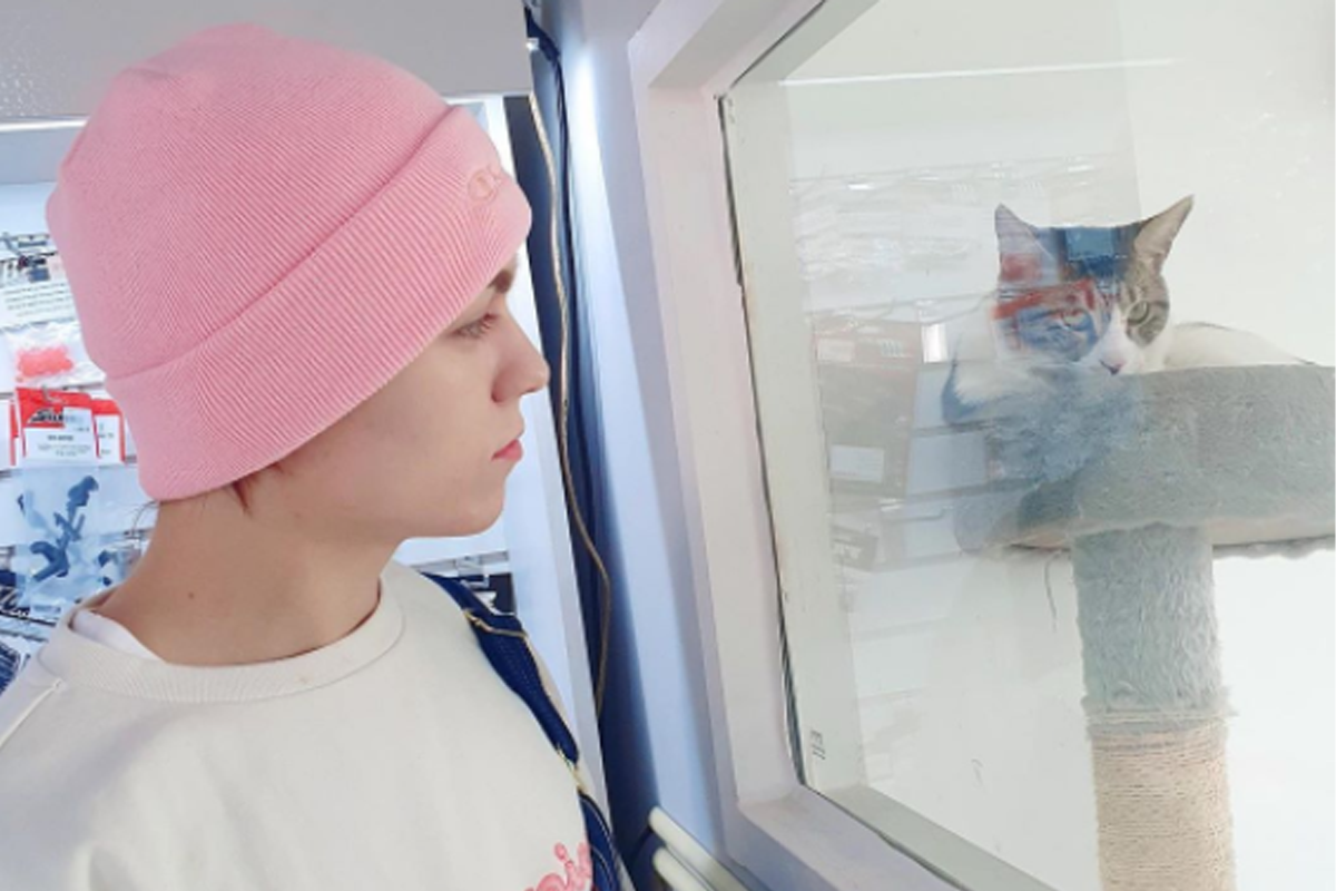 粉紅色字Champion冇帽衞衣，適合日常穿著和運動活動，韓國流行款式。