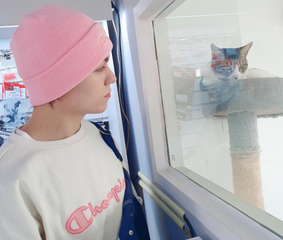 ピンクのビーニーとチャンピオンのスウェットをコーディネートしたファッションスタイル。窓越しに見る猫が写っています。