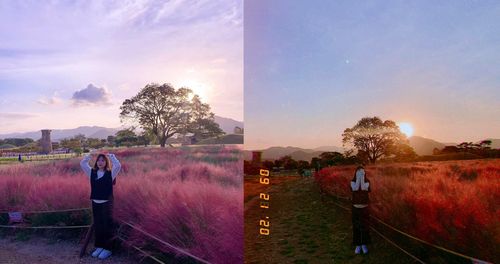 two photos of a girl posing in front of pink muhly grass in korea