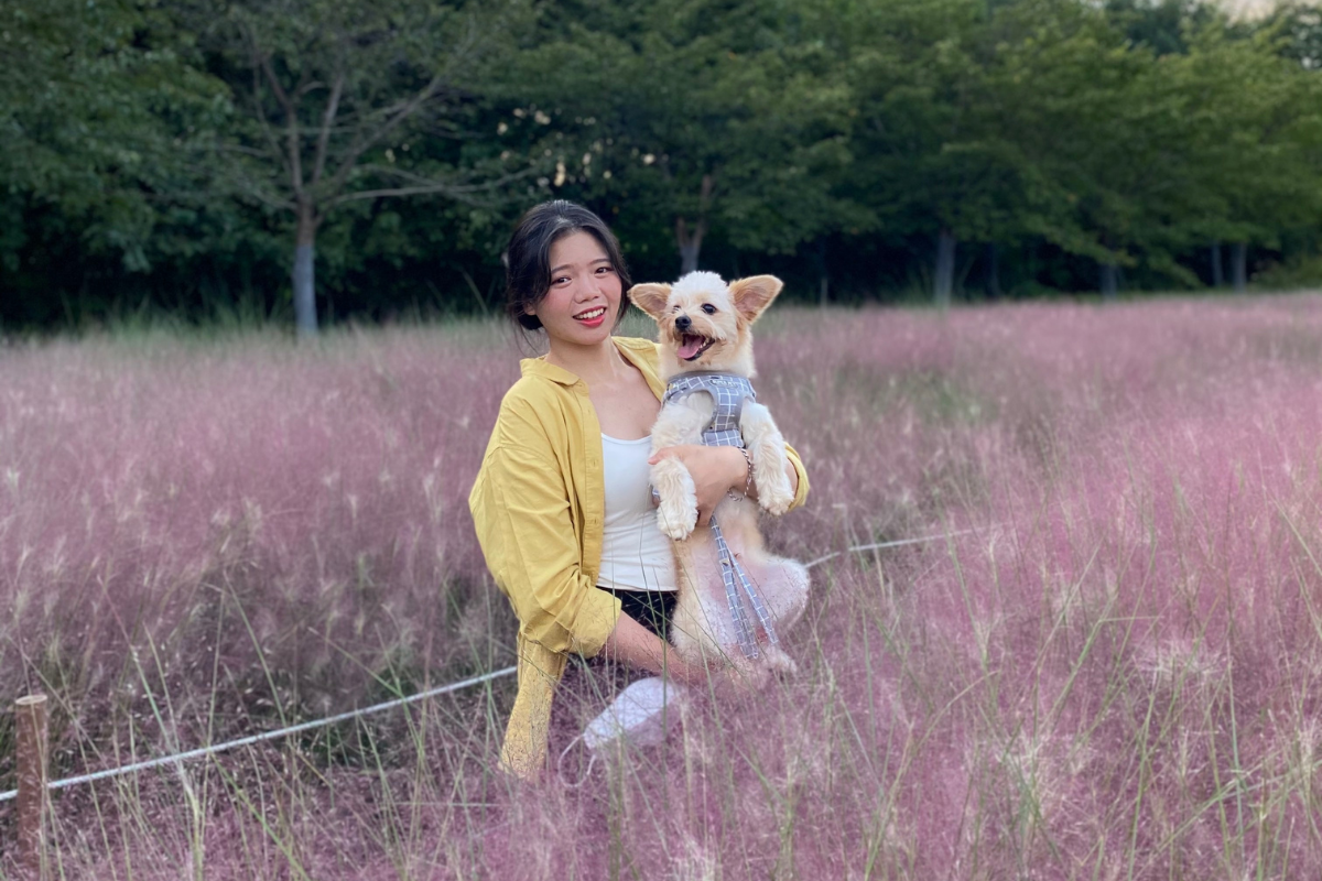 pink muhly grass in seoul, korea, a must-see in october, woman and dog in front of pink muhly