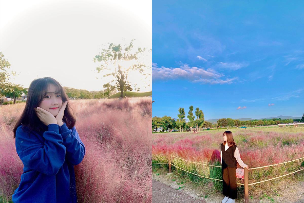 two photos of a girl posing in front of pink muhly grass field in gyeongju, korea
