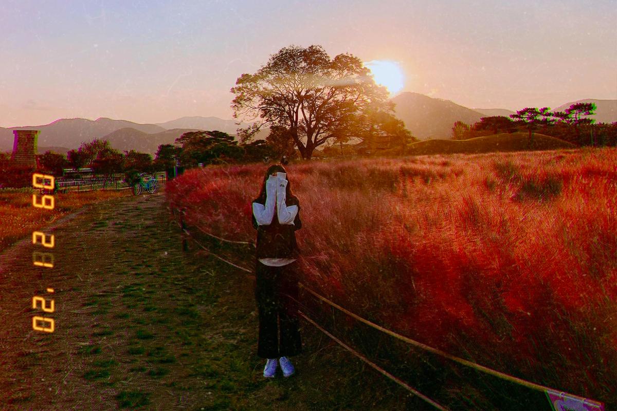 a girl posing in front of pink muhly grass field in gyeongju, korea