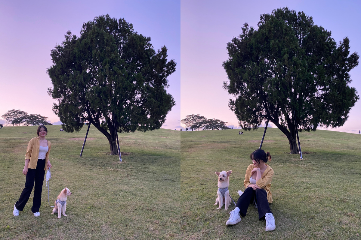 ผู้หญิงคนหนึ่งกับสุนัขบริเวณต้นไม้เดี่ยวที่เป็นจุดเด่นในสวนโอลิมปิก กรุงโซล เกาหลีใต้