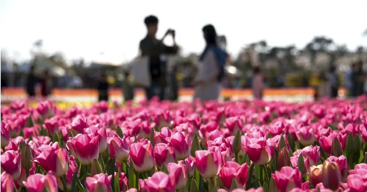 Who pays on a date? A Survey, Do men really pay 70% of the time? Is it a self-esteem issue? An analysis