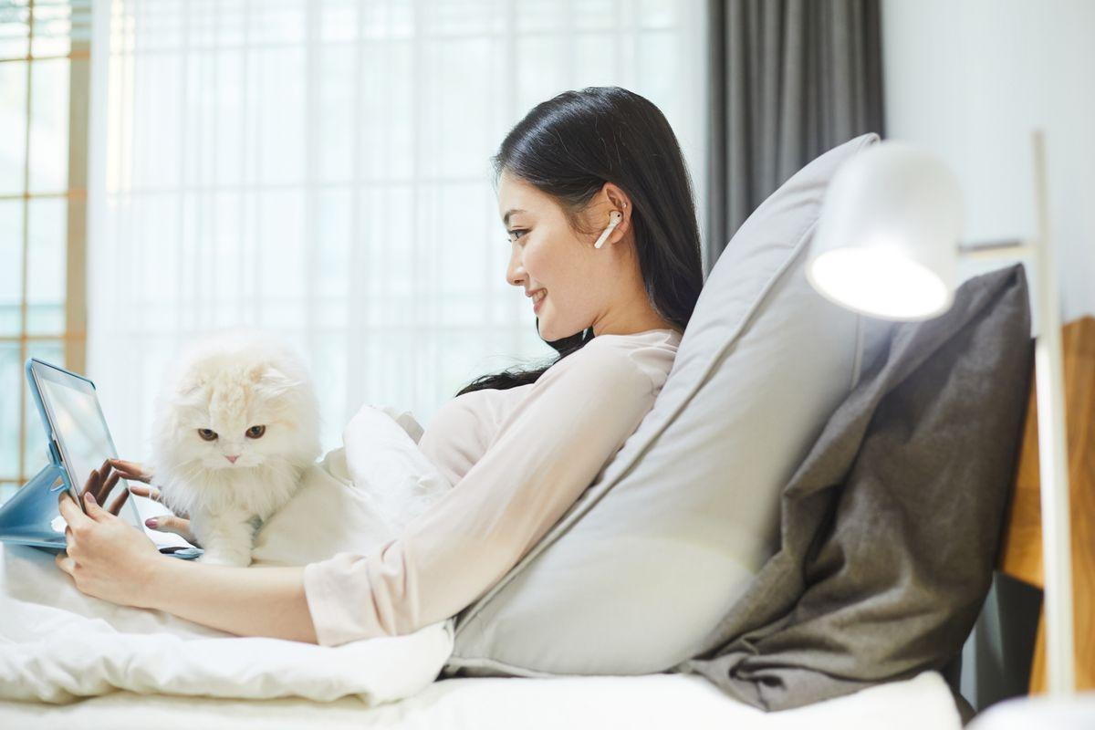 ทำไมอยู่ดี ๆ เพลงทร็อทก็เป็นที่นิยมขึ้นอีกครั้ง? ยิ่งคลาสสิคก็ยิ่งดี? 