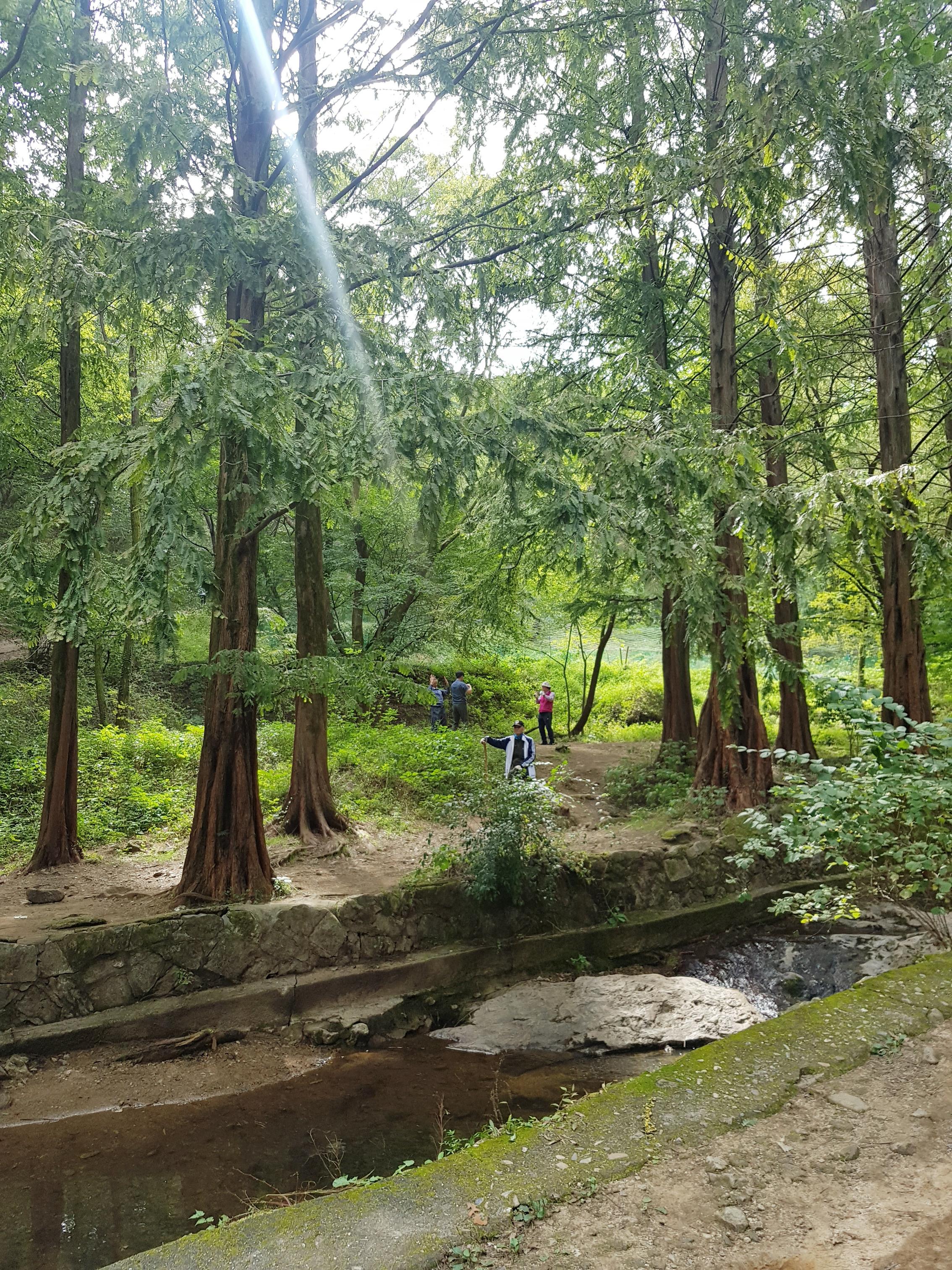 韓国文化、韓国の山、韓国の登山、韓国で登山