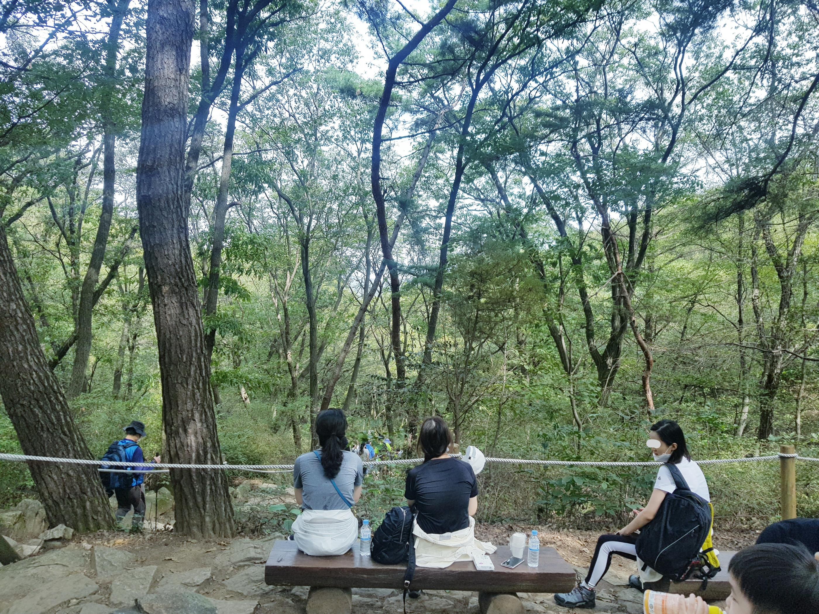 韓国文化、韓国の山、韓国の登山、韓国で登山、レギンス