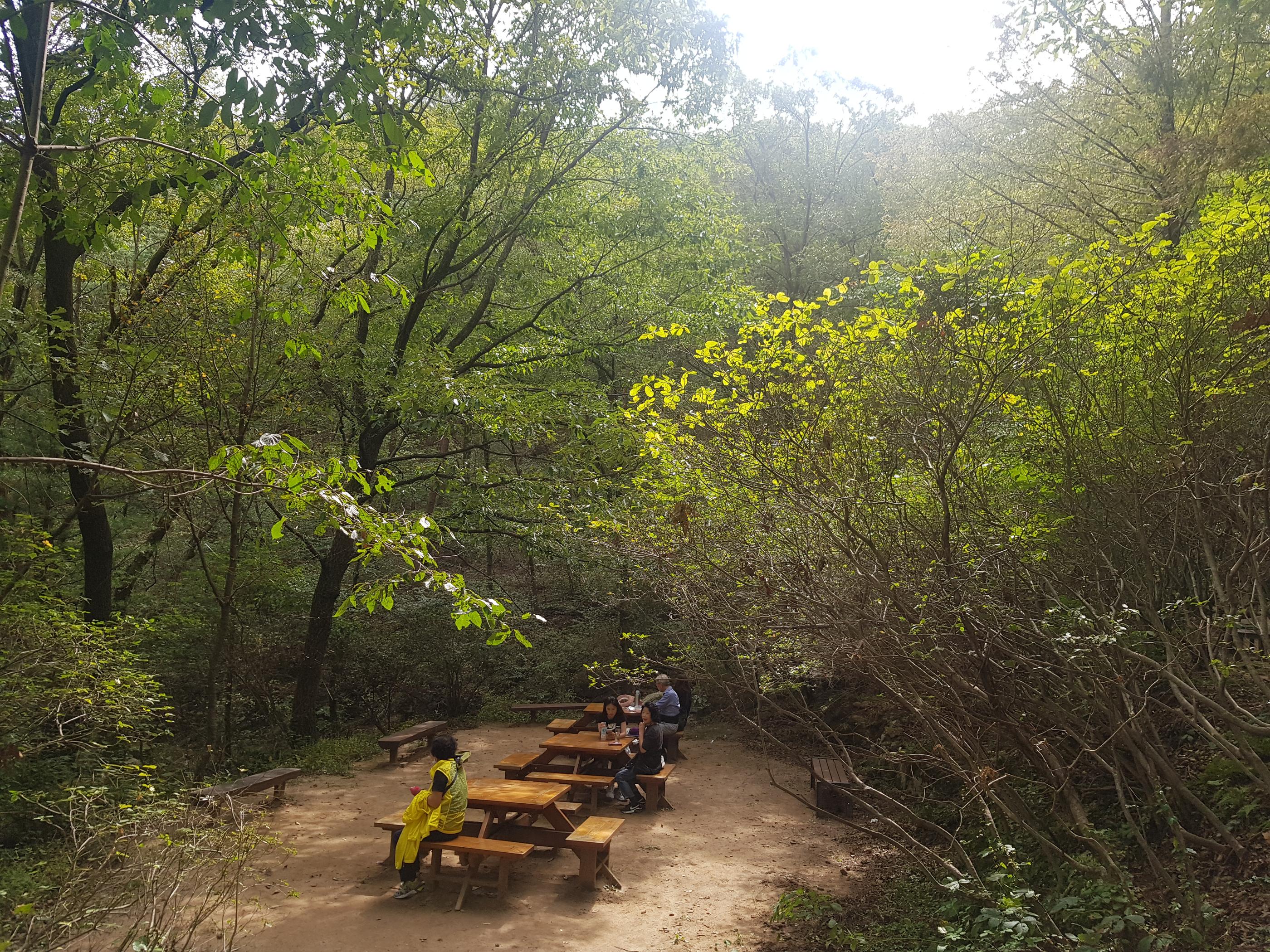 韓国文化、韓国の山、韓国の登山、韓国で登山、マッコリ