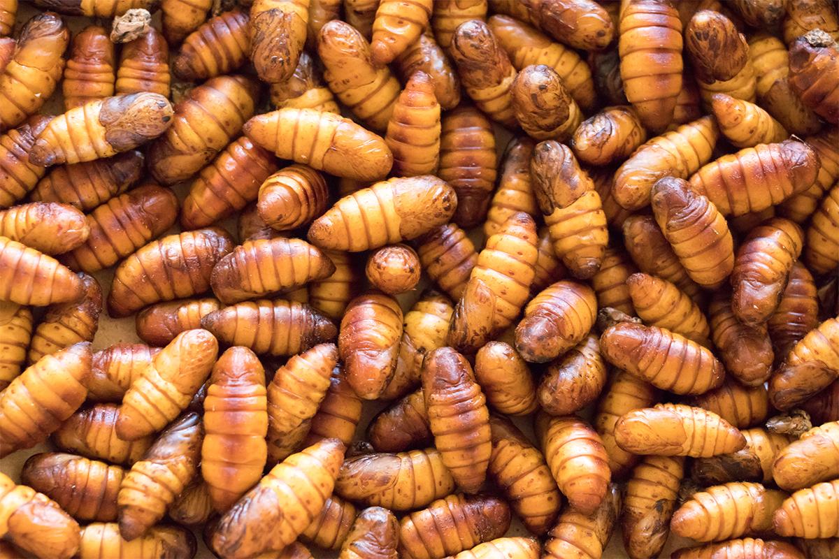 令人愛恨分明嘅韓國食物