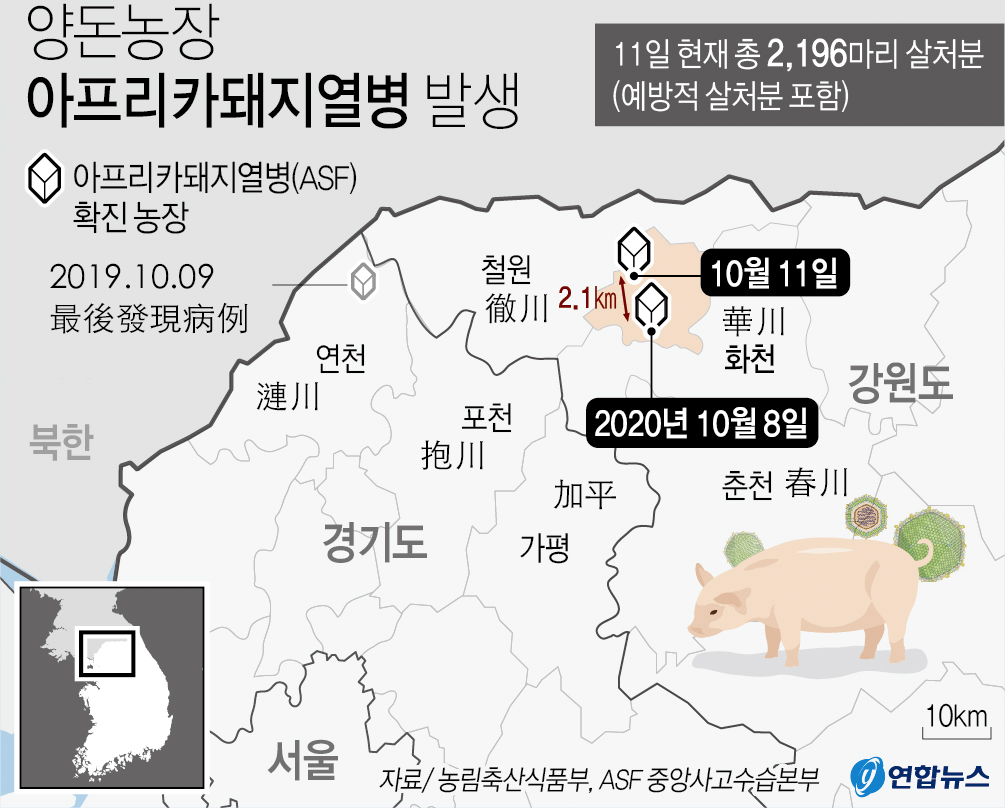韓國非洲豬瘟疫情地圖，顯示感染地點及影響範圍。