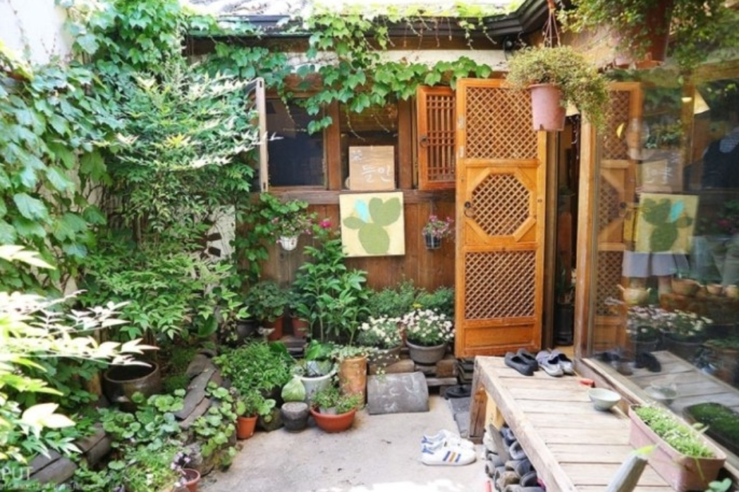 韓国伝統の雰囲気を感じさせる庭付きカフェ「뜰안(トゥルアン)」の外観。おしゃれなプランターと伝統的な木造デザインが特徴です。