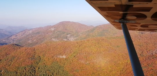 Trải nghiệm máy bay hạng nhẹ ở Hàn Quốc như Jan Di trong Vườn sao băng