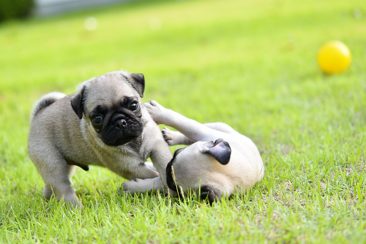 ソウル市内の建物と美しい漢江の風景。