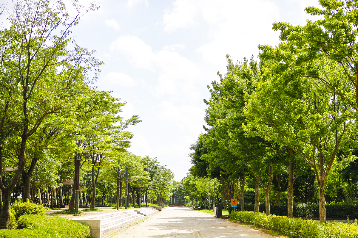 韓国ソウル市内の大都市の風景と橋、川のパノラマビュー。