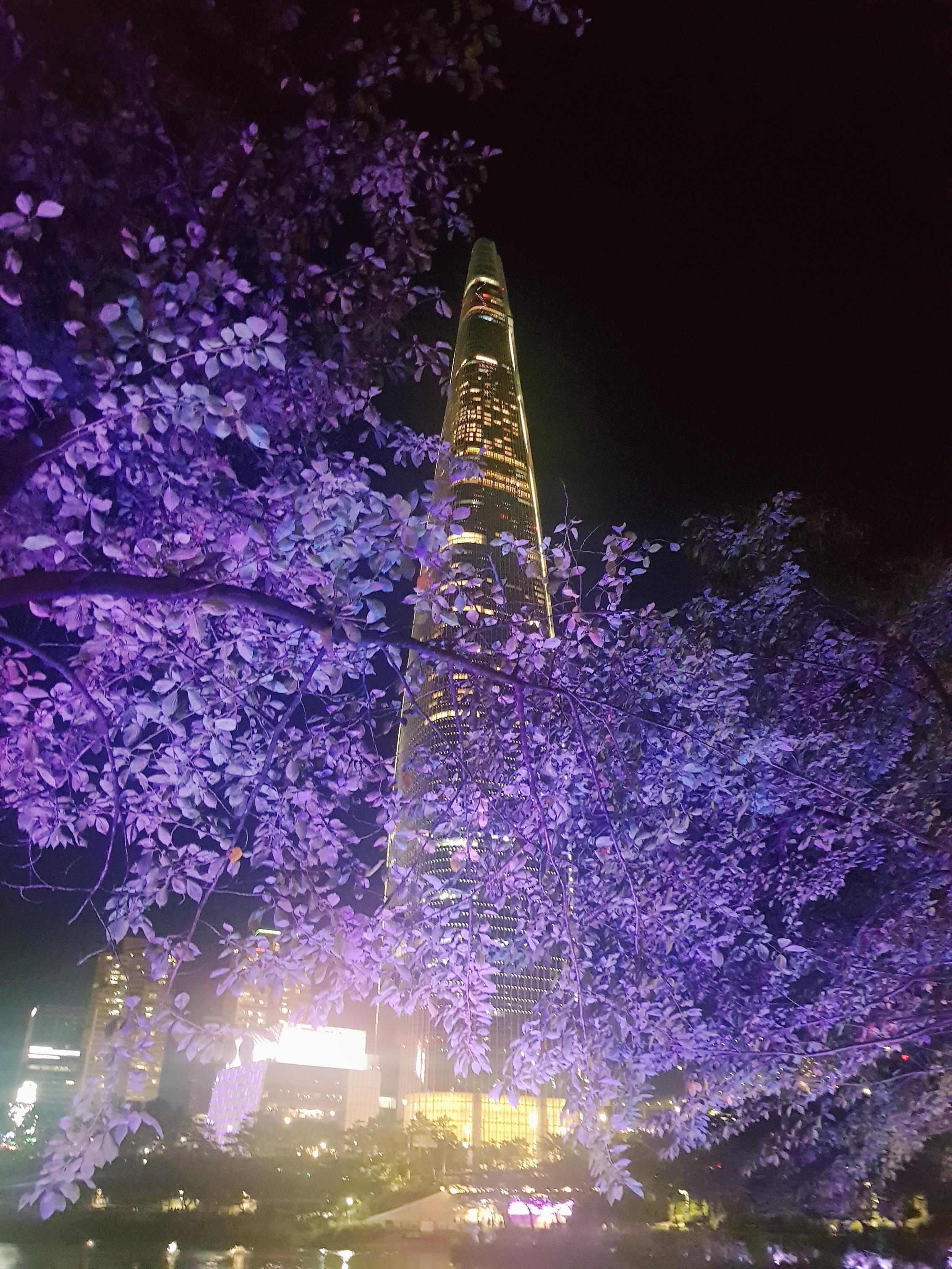 韓国、韓国の遊園地、ロッテワールド、ロッテワールドタワー、ロッテワールドモール、ソクチョンホス、韓国の湖、韓国のカフェ、韓国のカップル