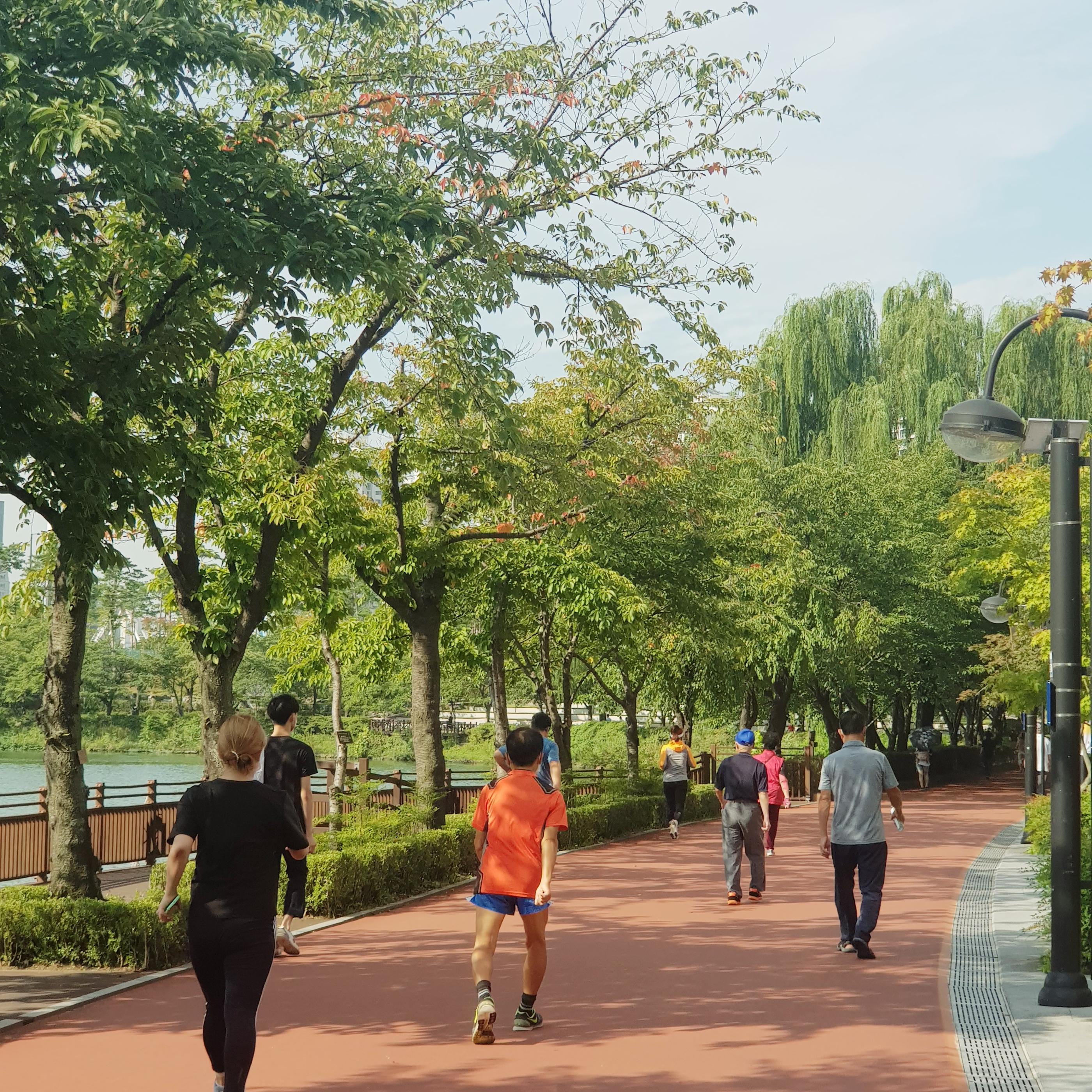 韓国、韓国の遊園地、ロッテワールド、ロッテワールドタワー、ロッテワールドモール、ソクチョンホス、韓国の湖、韓国のカフェ、韓国人の運動