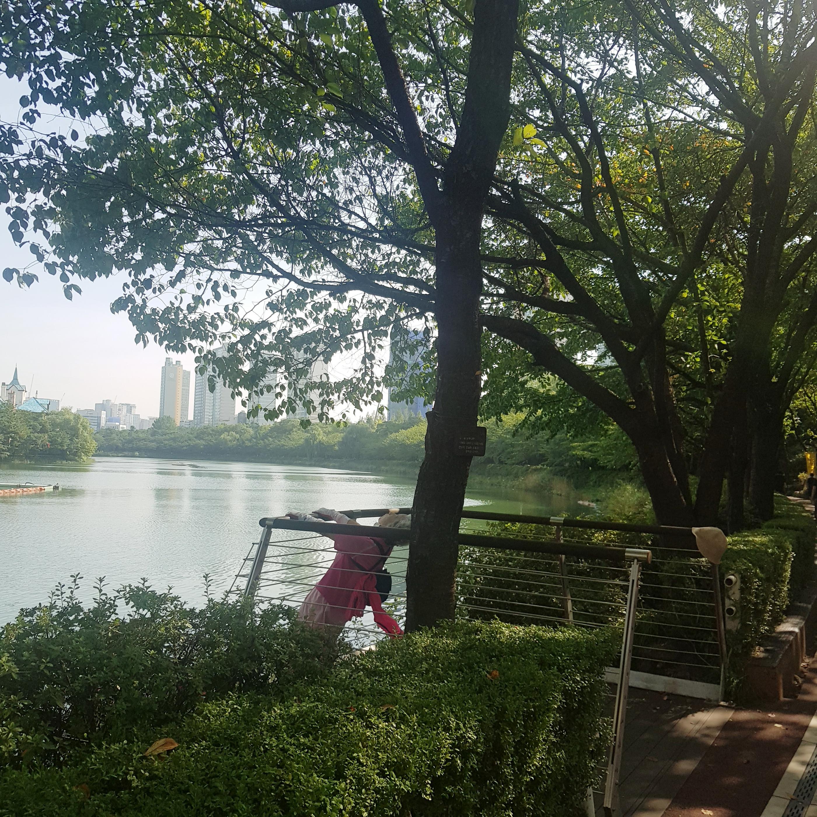 韓国、韓国の遊園地、ロッテワールド、ロッテタワー、ロッテモール、ソクチョンホス、韓国の湖、韓国のカフェ