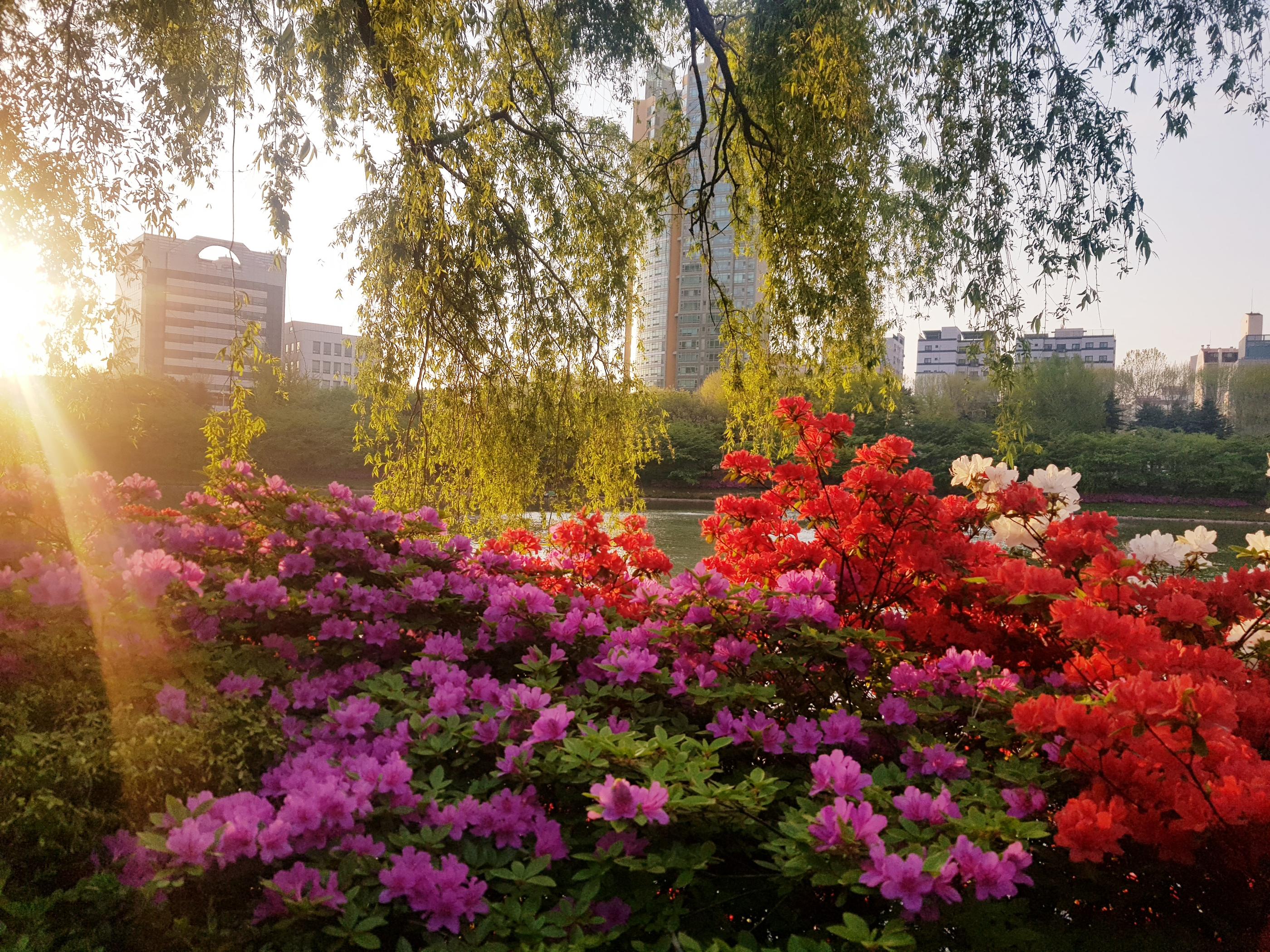 韓国、韓国の遊園地、ロッテワールド、ロッテタワー、ロッテモール、ソクチョンホス、韓国の湖、韓国のカフェ韓国、韓国の遊園地、ロッテワールド、ロッテワールドタワー、ロッテワールドモール、ソクチョンホス、韓国の湖、韓国のカフェ