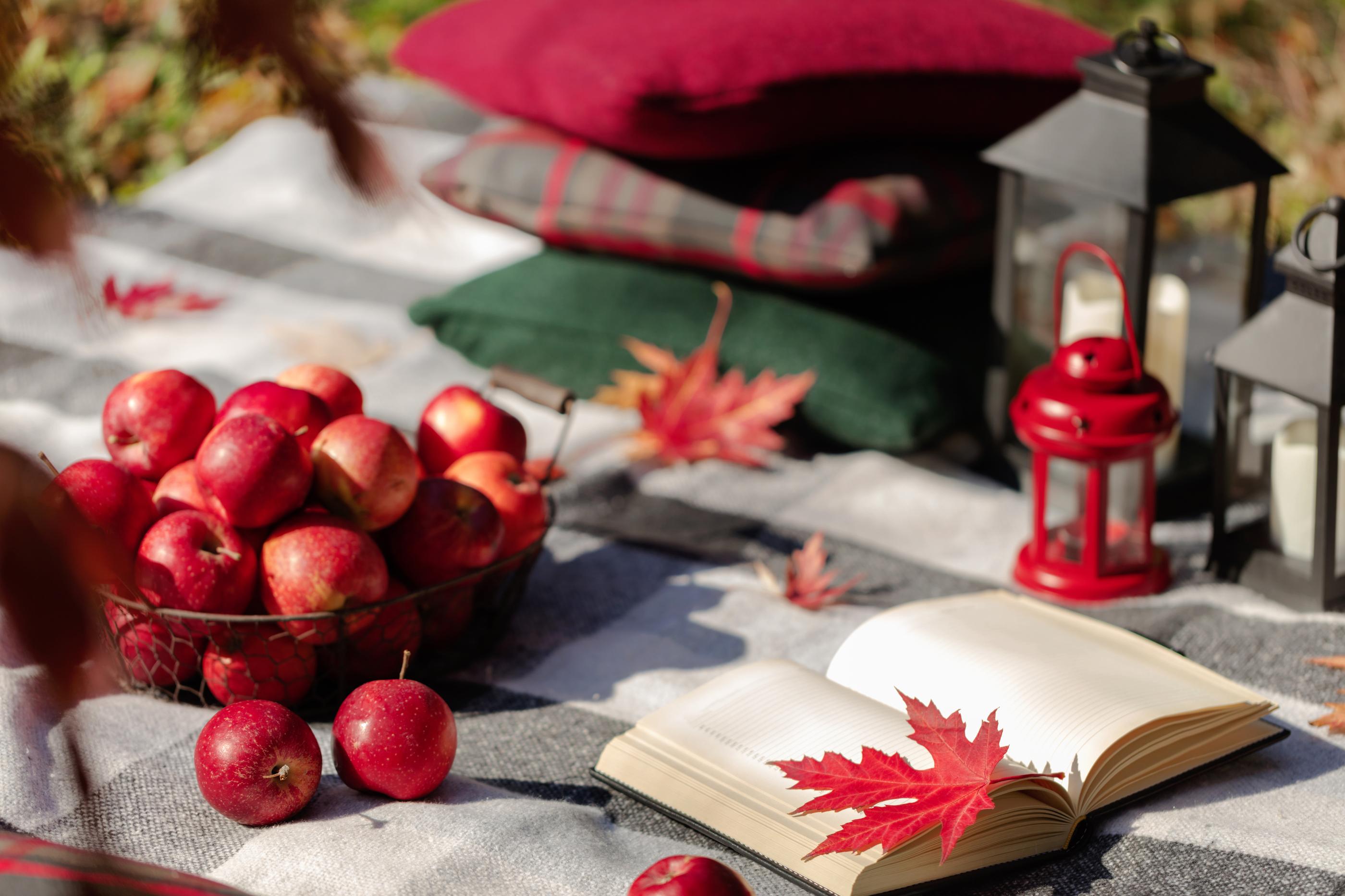 韓国、韓国の遊園地、ロッテワールド、ロッテタワー、ロッテモール、ソクチョンホス、韓国の湖、韓国のカフェ