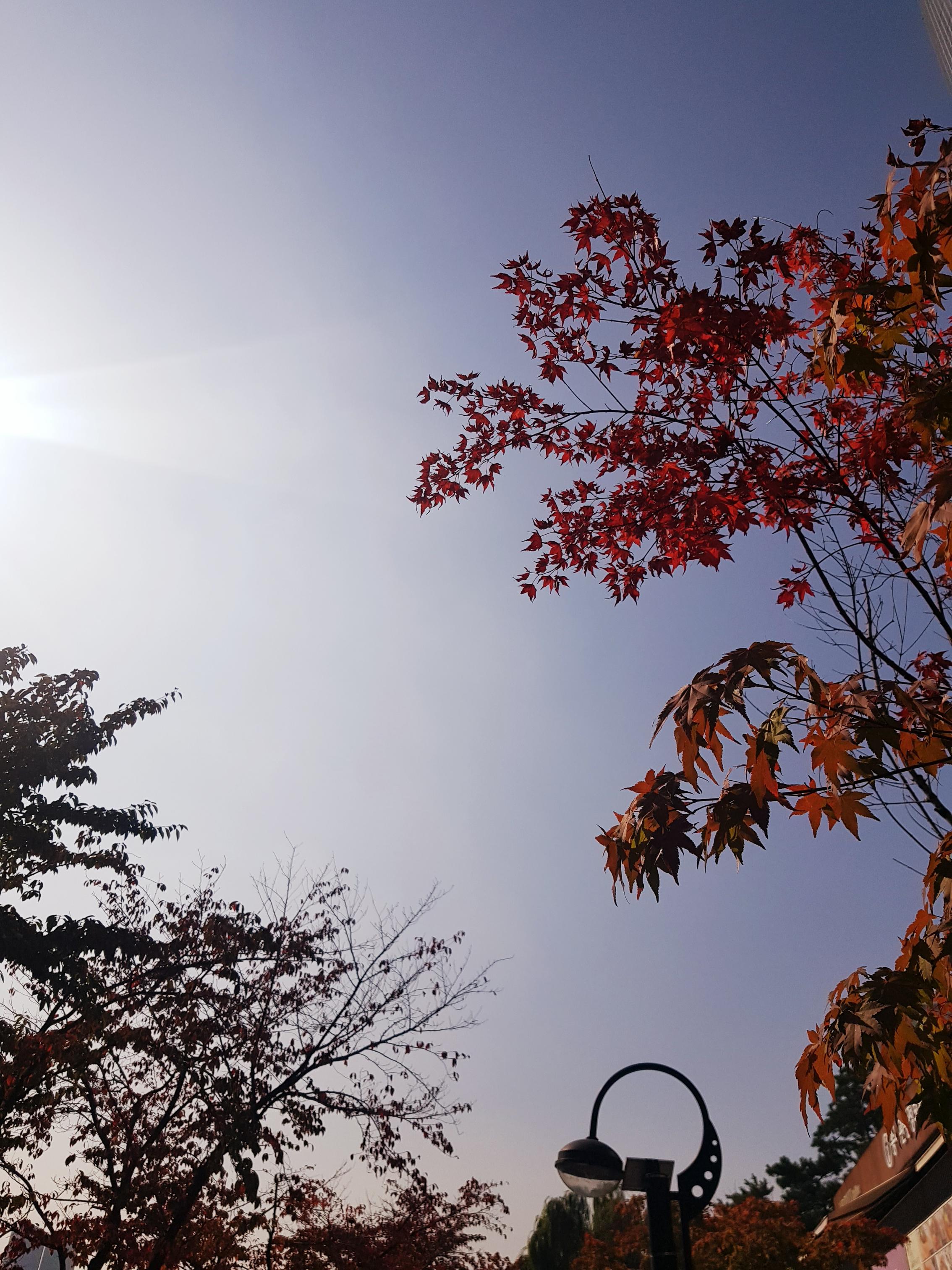 韓国、韓国の遊園地、ロッテワールド、ロッテワールドタワー、ロッテワールドモール、ソクチョンホス、韓国の湖、韓国のカフェ