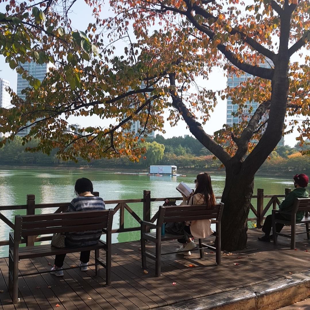韓国、韓国の遊園地、ロッテワールド、ロッテタワー、ロッテモール、ソクチョンホス、韓国の湖、韓国のカフェ