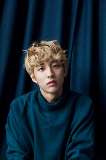 韓國新進歌手Holland的形象照，他公開承認自己是同性戀。