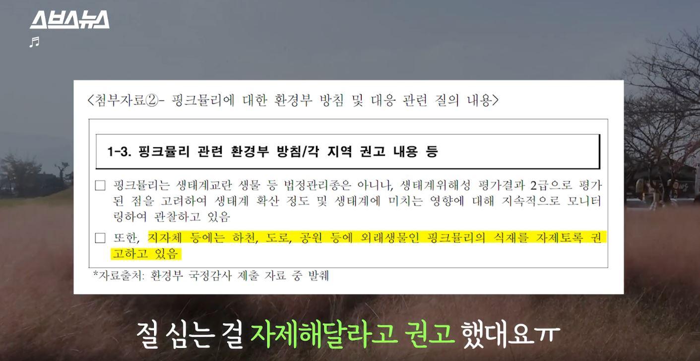 Được hàng triệu người săn tìm nhưng hoá ra cỏ hồng lại là thực vật có hại? 