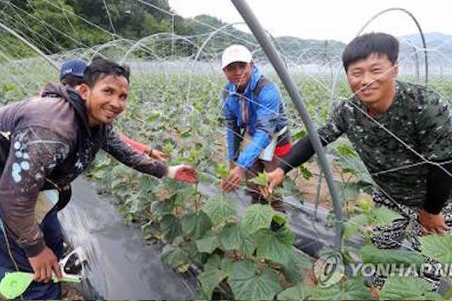 กลุ่มแรงงานต่างชาติเรียกร้องให้เกาหลีใต้แก้ไขระบบการจัดหางาน