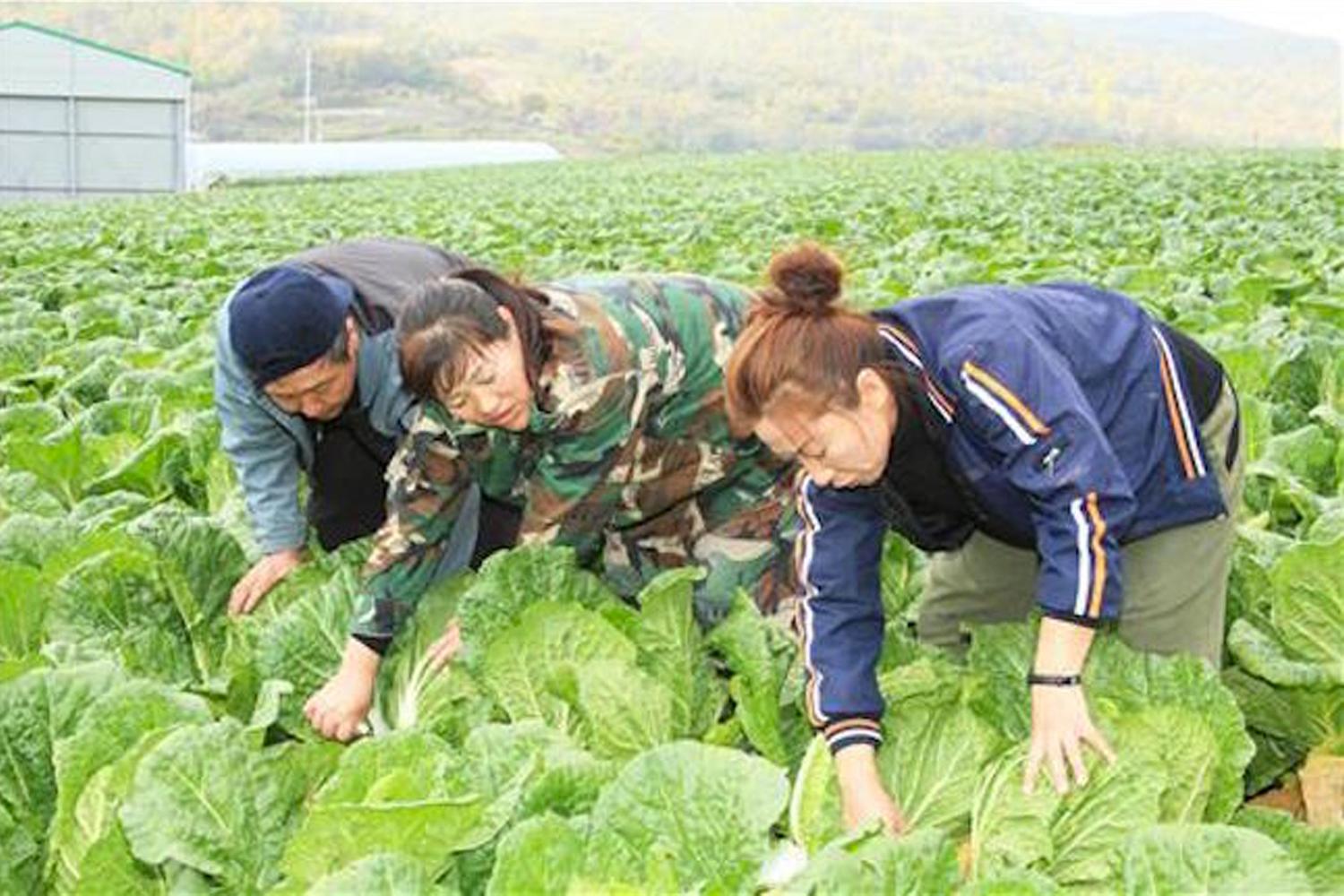 แรงงานต่างชาติในเกาหลีถูกนิยามว่าเป็น 