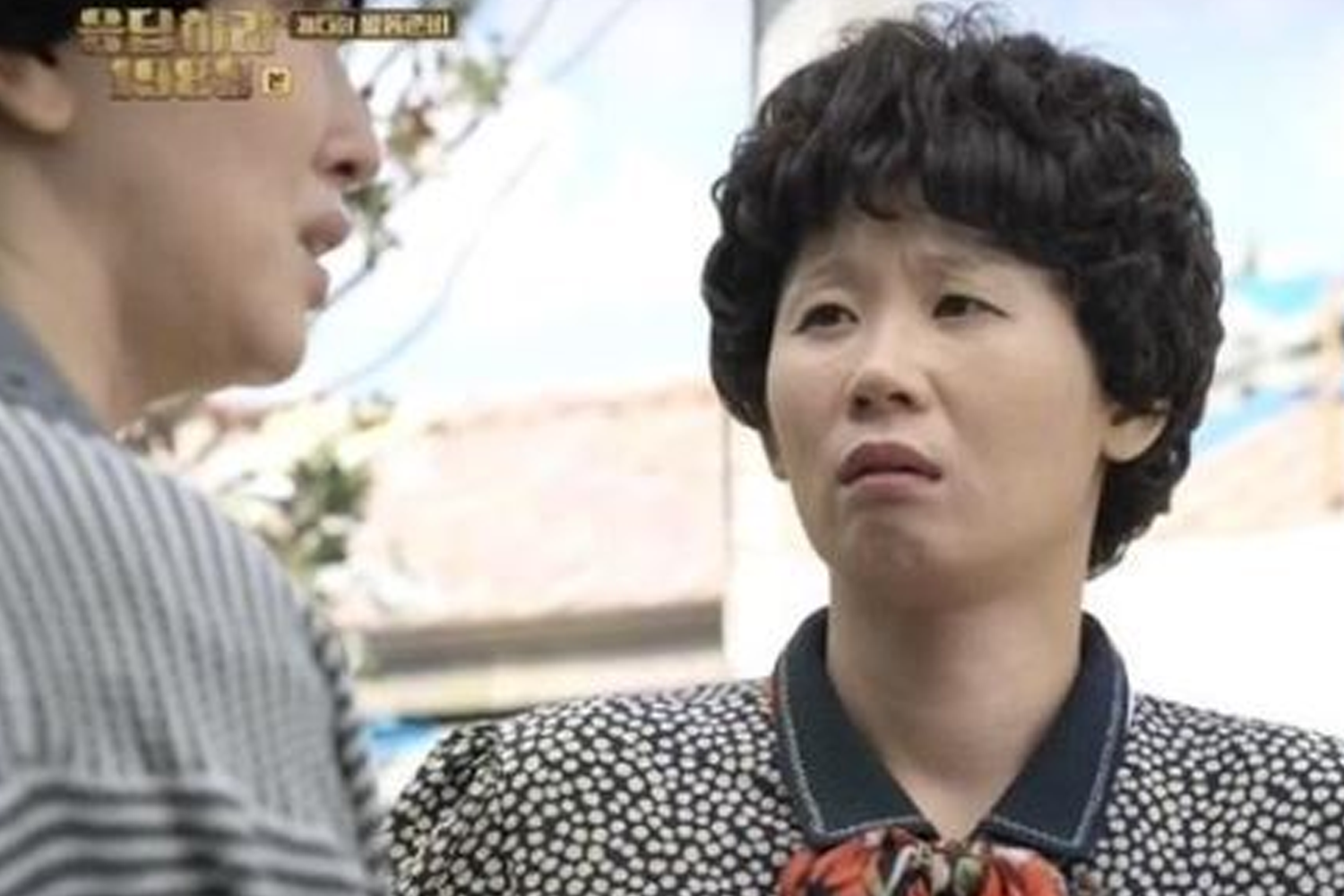 請回答 1988 請回答1988