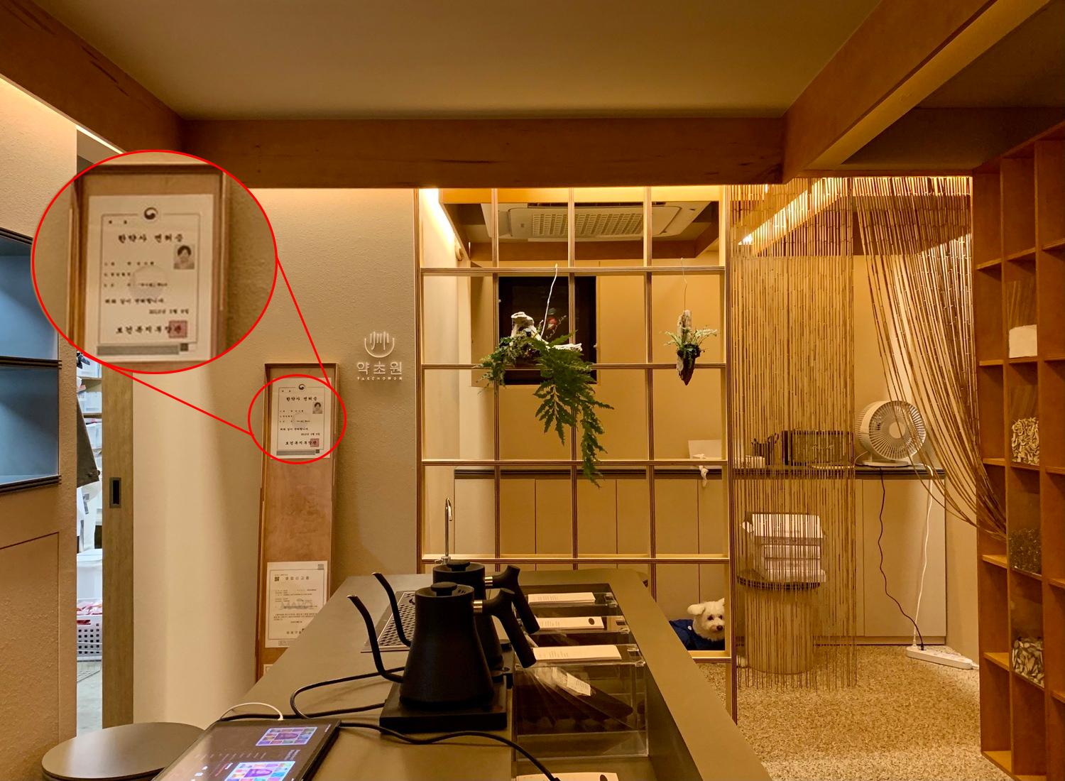 Visiting Mangwon-dong